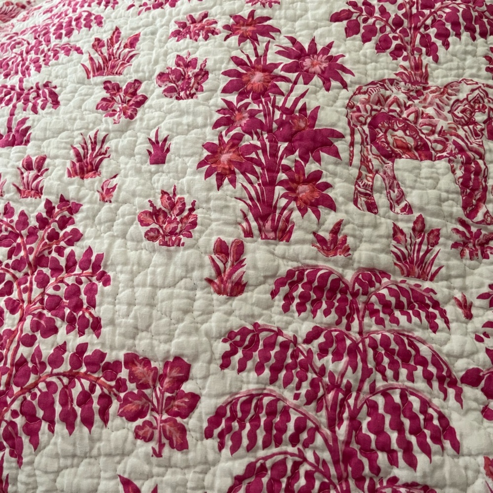 Queen sized Crown & Ivy comforter. Gently used .